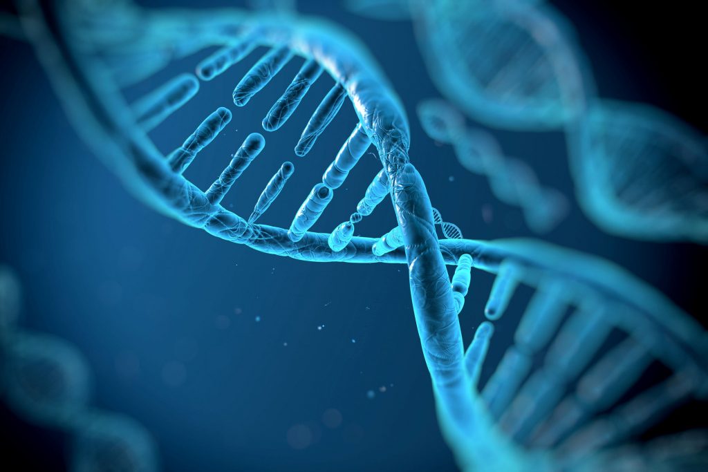 6 Reasons You Should Consider To Try DNA Testing